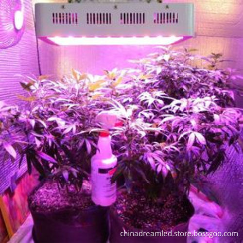 Hot Selling taiwan Epistar 42mil Led Chip 1W 3W High Power Full Spectrum Led Chip Apply For Plant Grow Lighting